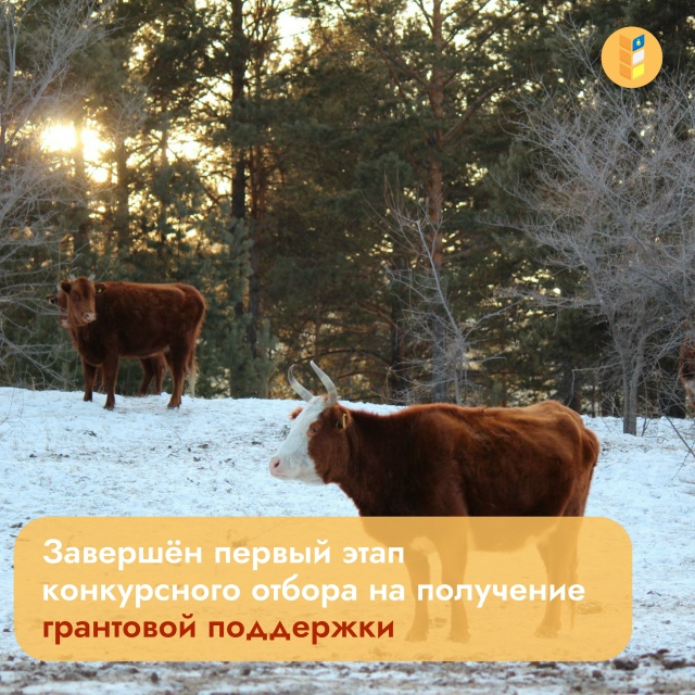 С 27 октября по 20 ноября мы принимали заявки от аграриев республики.